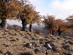 Sierra de Líbar